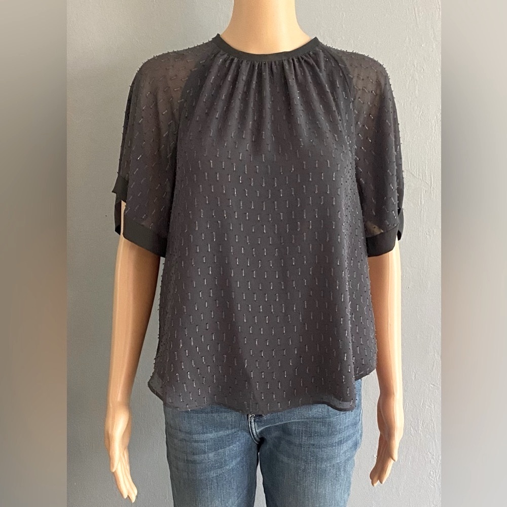 🌷Ann TAYLOR Clip Chip Sheer Sleeve Steel Gray Blouse